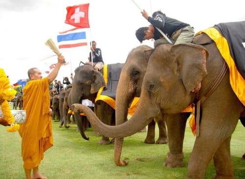 Anantara Announces Dates to Bangkok's 2017  King's Cup Elephant Polo Tournament