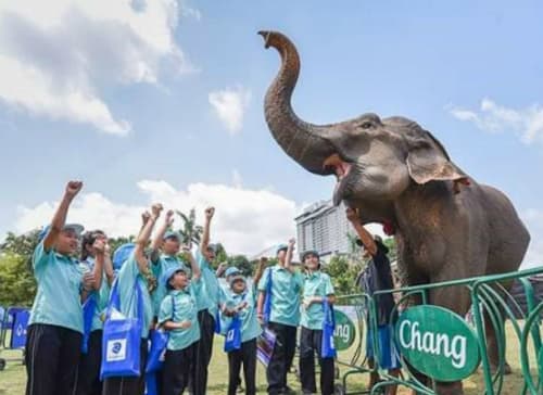 Anantara’s King’s Cup Elephant Polo Raises Millions For Thailand’s Pachyderms