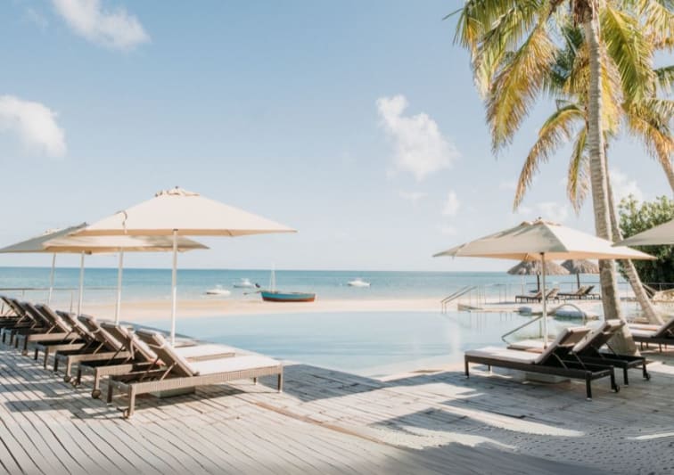 Beach and Palm Trees