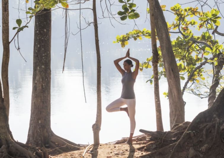 Luxury Wellness Escape Near Colombo 880 x 620