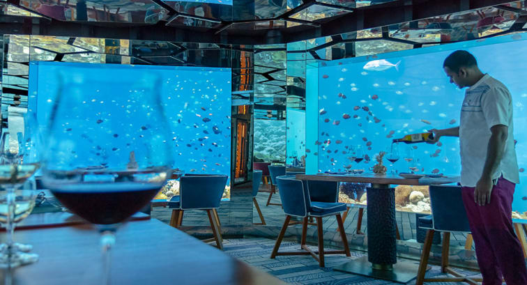 Wine Guru at Anantara Kihavah SEA Underwater Restaurant