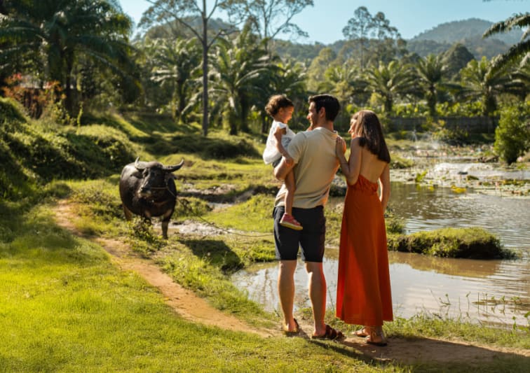family watching buffalo in the garden