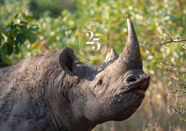 Anantara Stanley & Livingstone Victoria Falls Hotel Black Rhino