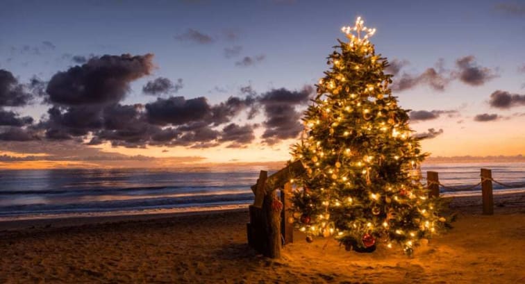 Christmas tree on a beach showing a festive holiday destination 