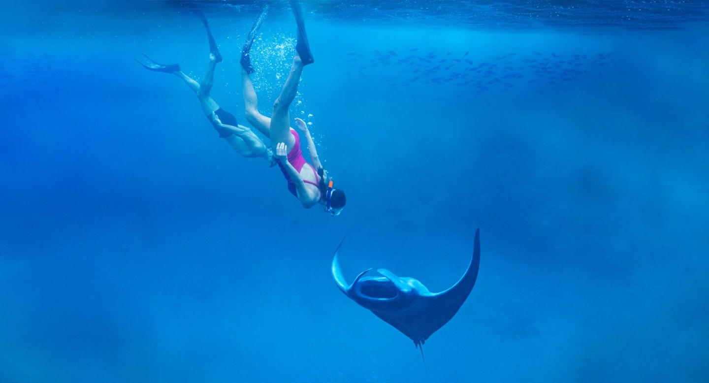 Image of resort, Bocas Islands cruise best water fun