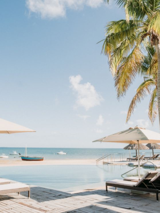 Beach and Palm Trees