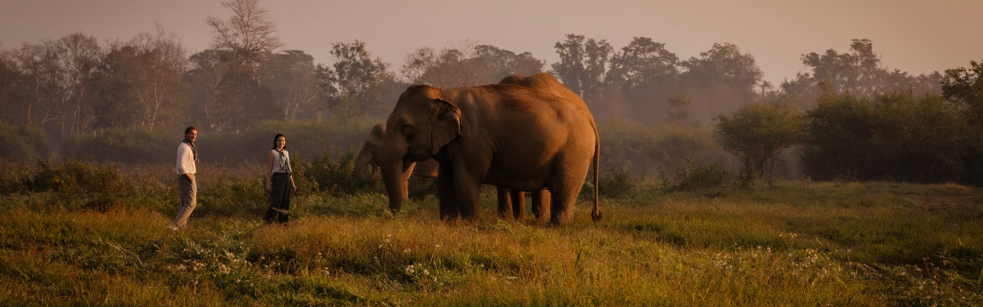 Chiang Rai Hotel Promotions | Anantara Golden Triangle Discovery Package