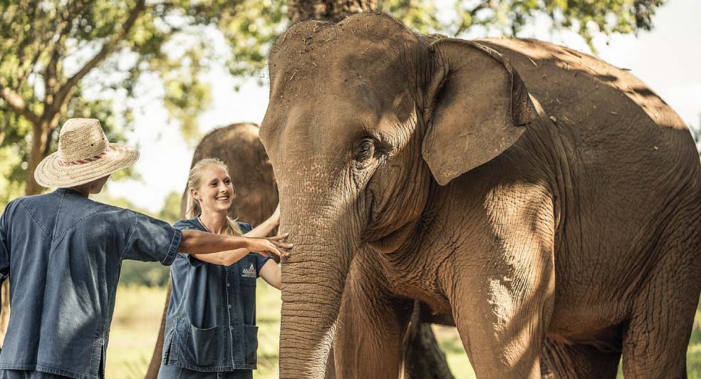 Elephant Camp Thailand | Anantara Golden Triangle Elephant Activities