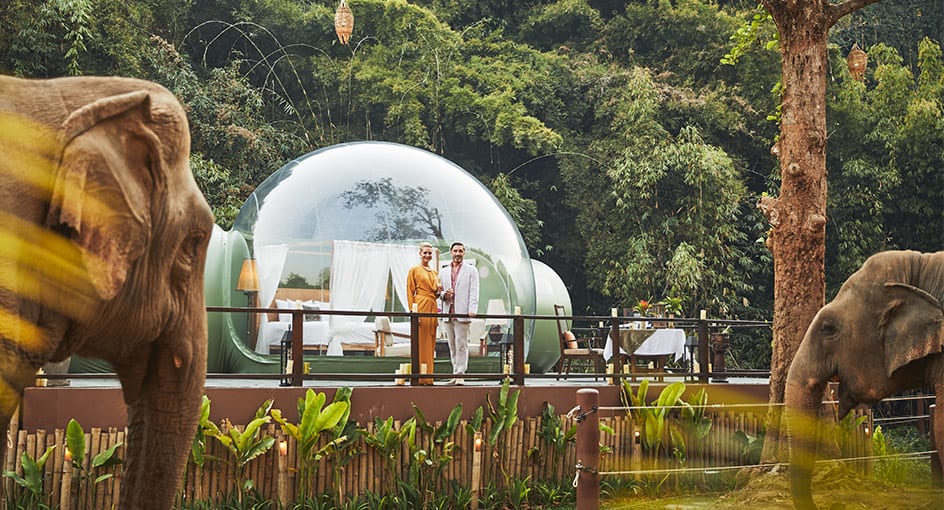 Thailand Jungle Bubbles | Anantara Golden Triangle Experiences