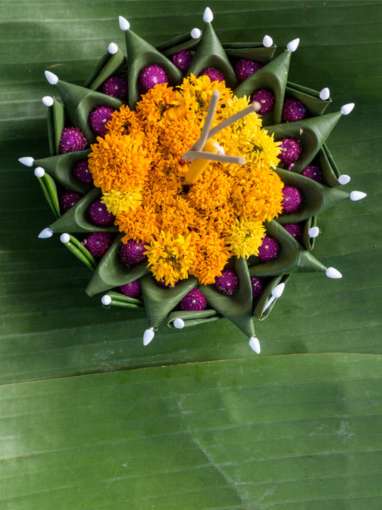 Anantara Golden Triangle Elephant Camp & Resort