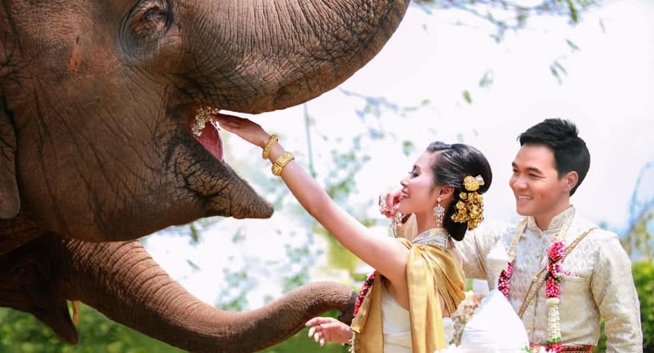 Image result for Anantara Golden Triangle Elephant Camp & Resort wedding