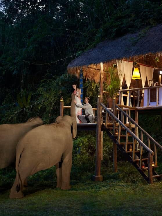Chiang Rai Hotels Anantara Golden Triangle Elephant Camp Resort