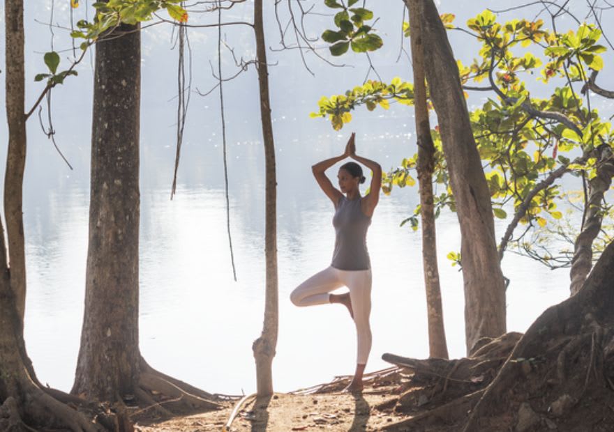Luxury Wellness Escape Near Colombo 880 x 620