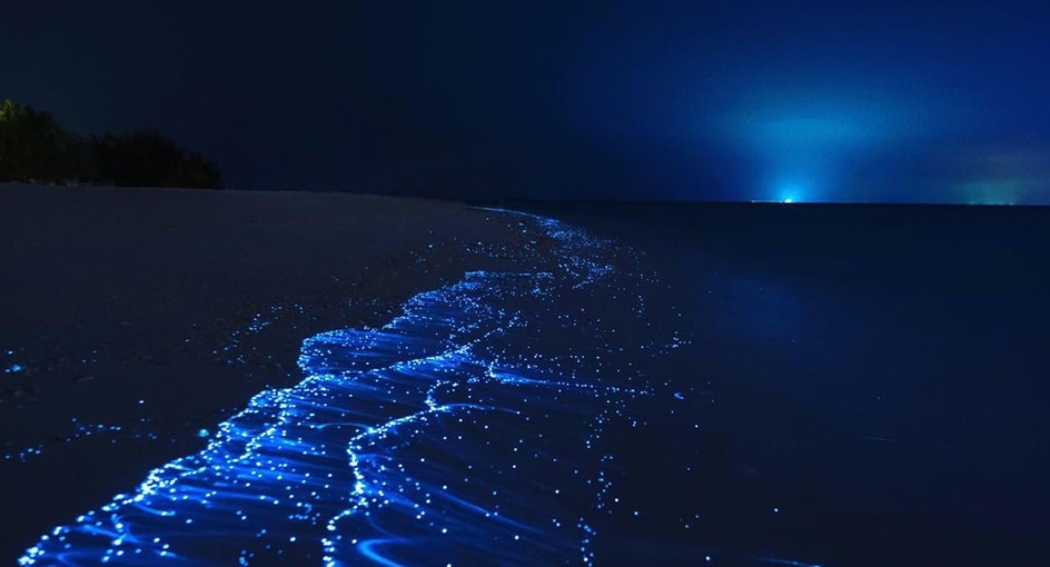 Anantara Kihavah Maldives Plankton Beach