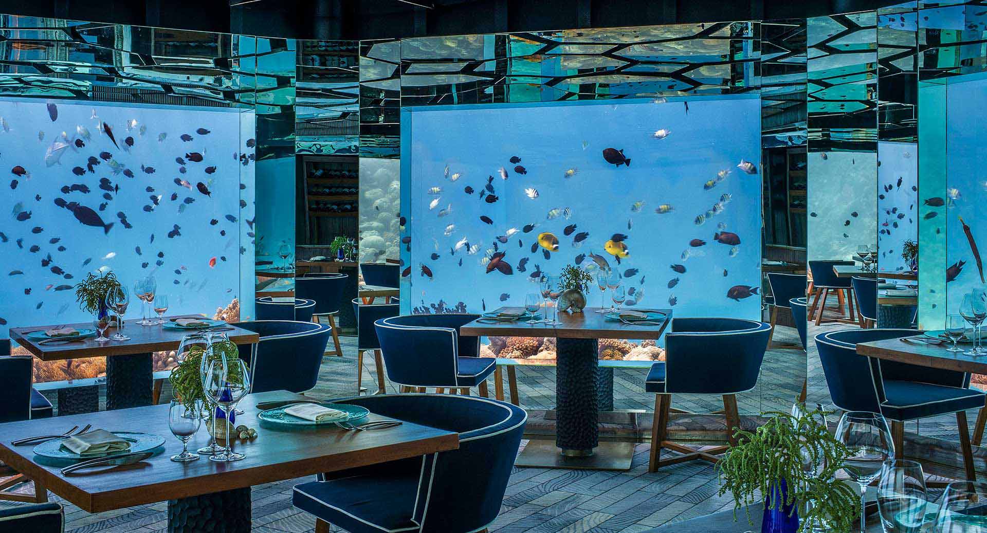 anantara kihavah underwater restaurant SEA