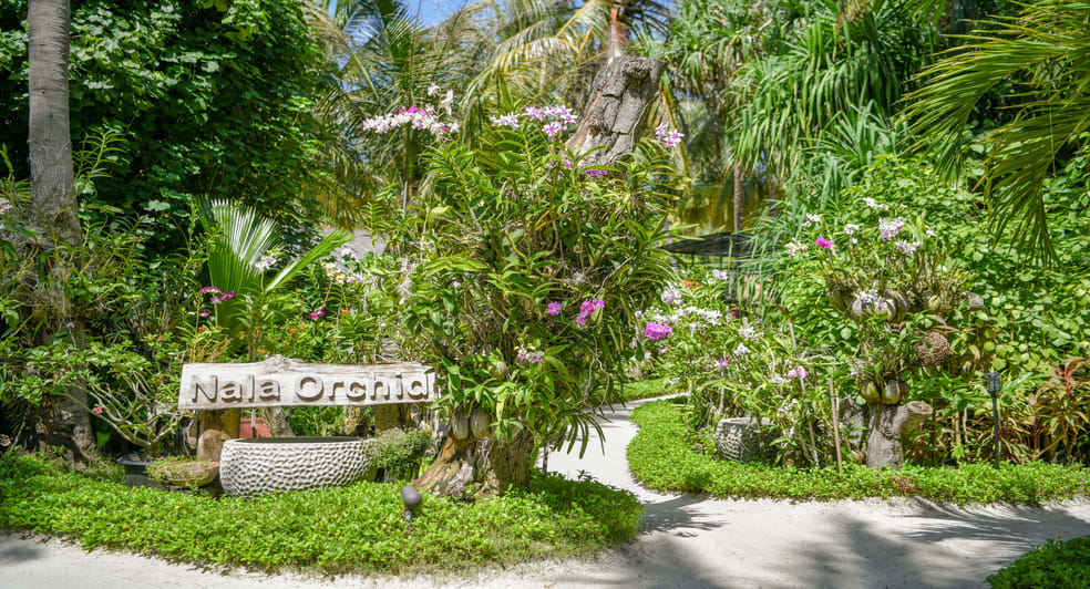 Nala Orchid Garden at Anantara Kihavah Maldives Villas