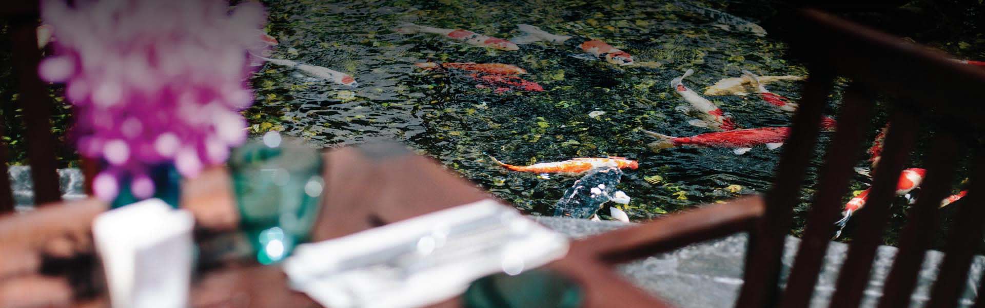 All Day Dining In Bangkok Aqua Restaurant At Anantara Siam