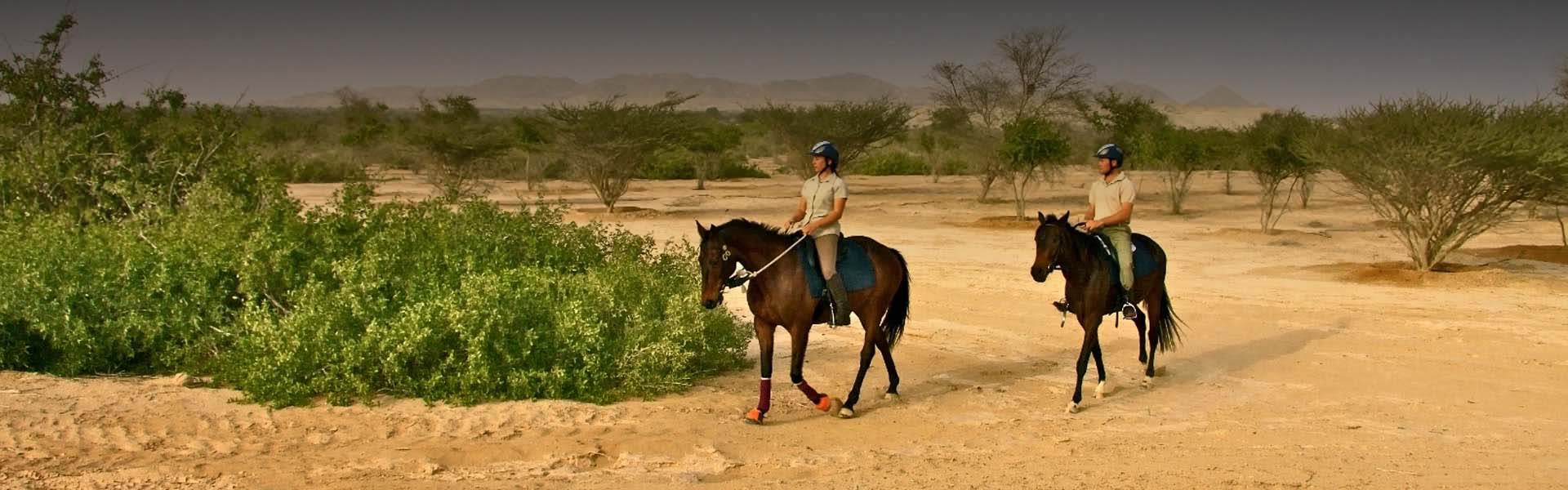 Horse Riding in Abu Dhabi Riding Packages at Anantara Al Yamm Villas