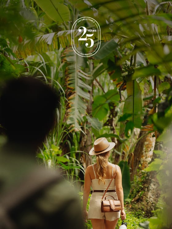 experience offer
