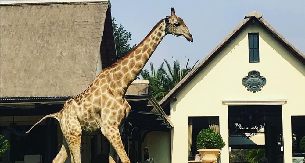 Royal Livingstone Victoria Falls Zambia