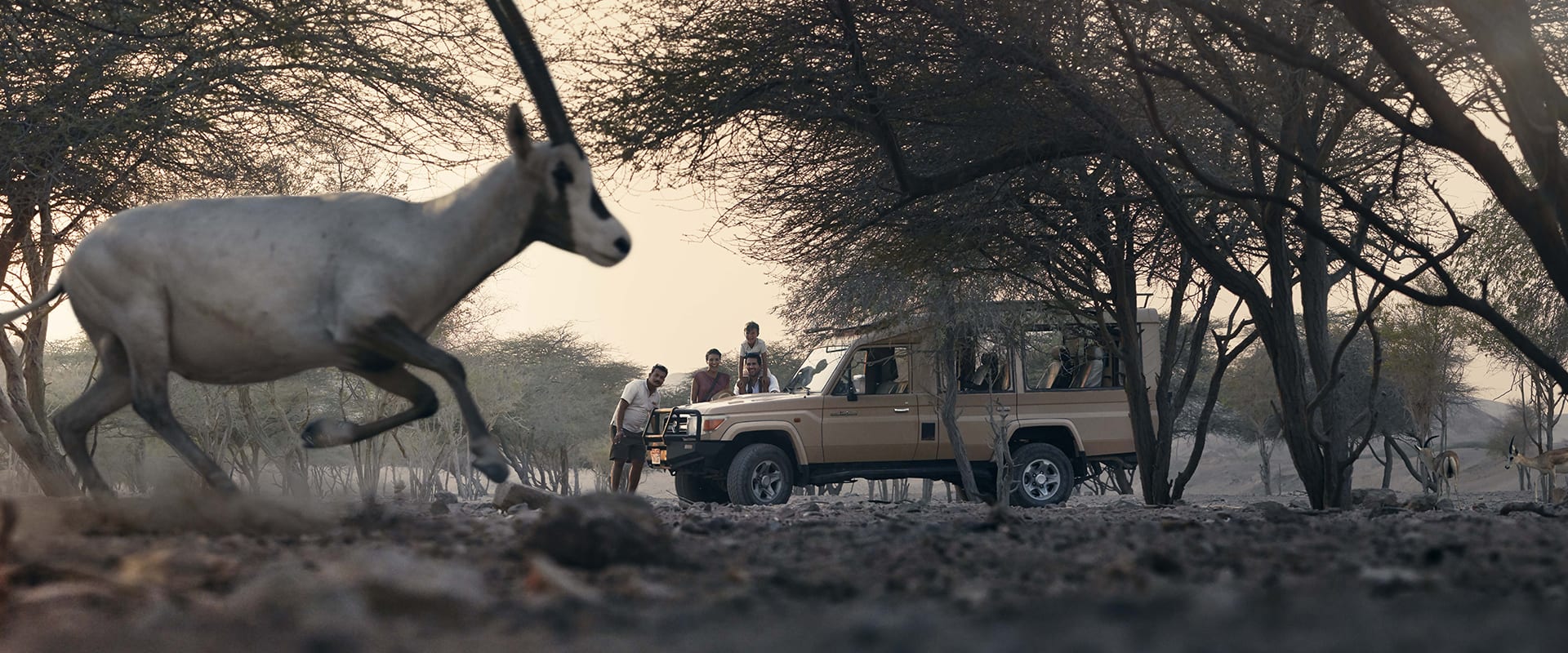 Nature & Wildlife Drive