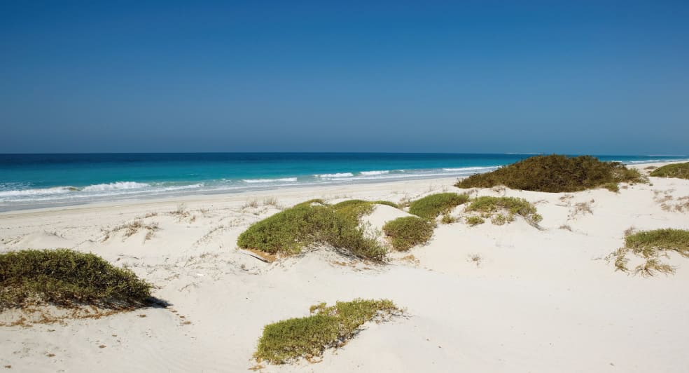 Striking Beach near Eastern Mangroves Hotel Abu Dhabi