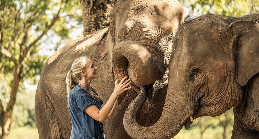 Anantara Newsletter 