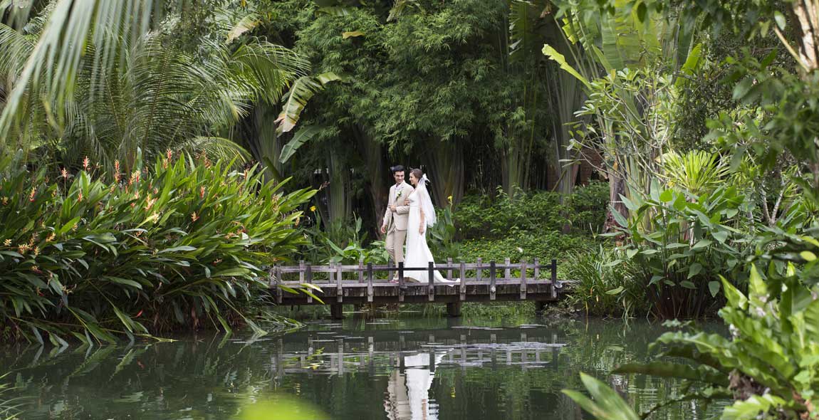 Wedding of Dreams
