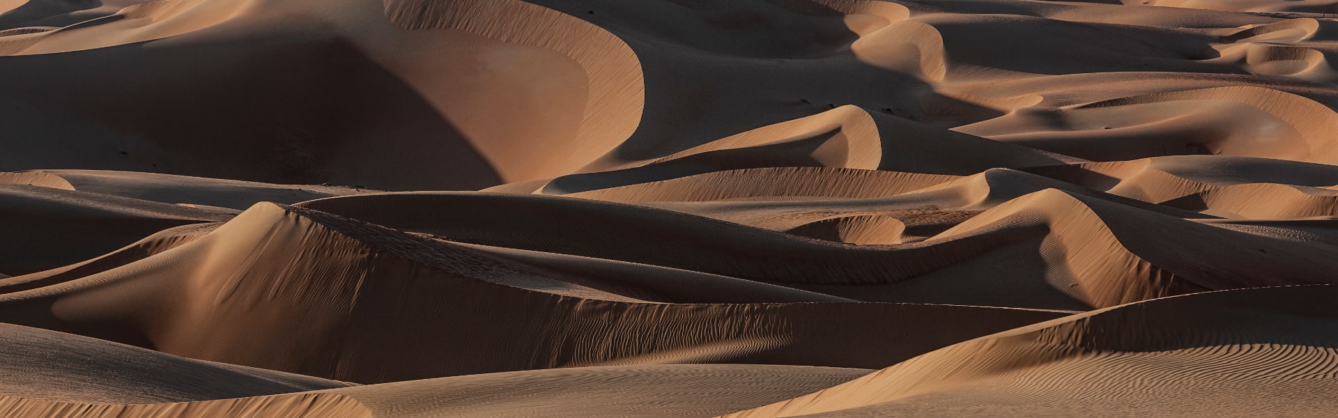 Abu Dhabi Resort Hotels Special Offers Qasr Al Sarab Resort