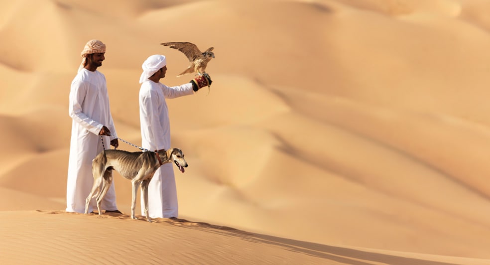 Abu Dhabi Wüstentour Aktivitäten im Qasr Al Sarab