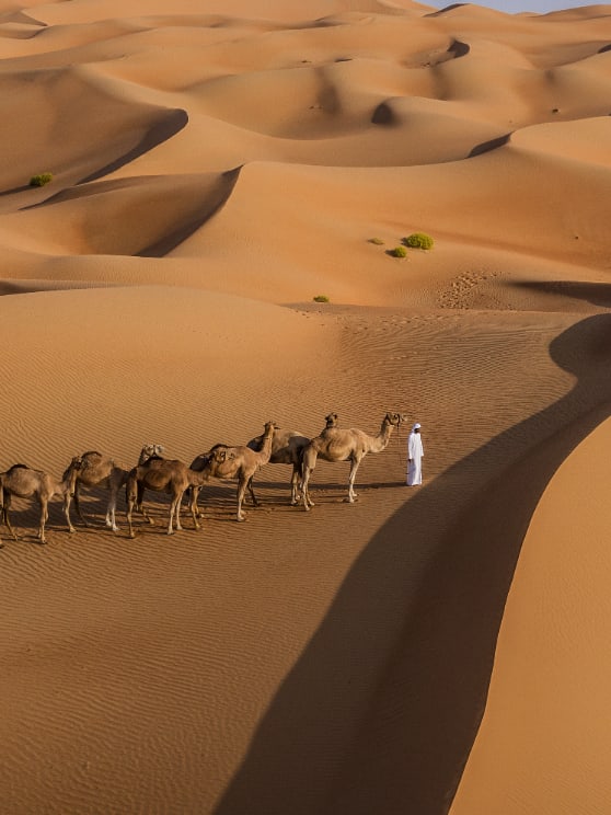 السراب الصحراوي